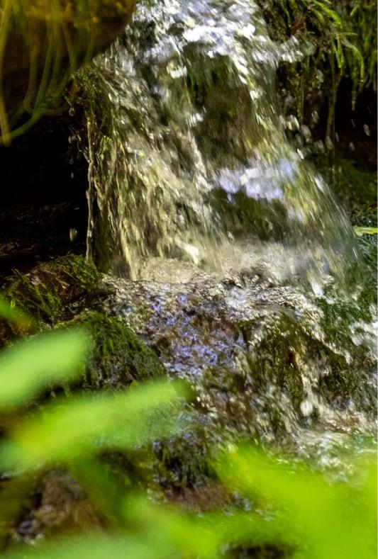 Spring Water