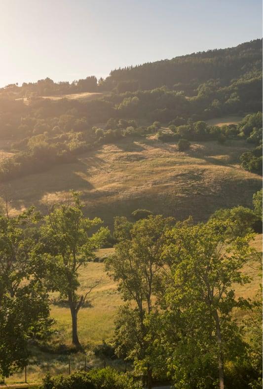 Acqua Panna Estate's Forest