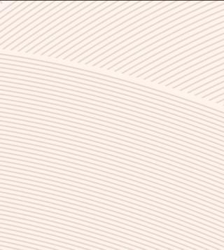 slicer background