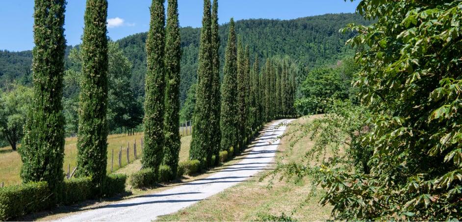 Acqua Panna Reserve Landscape