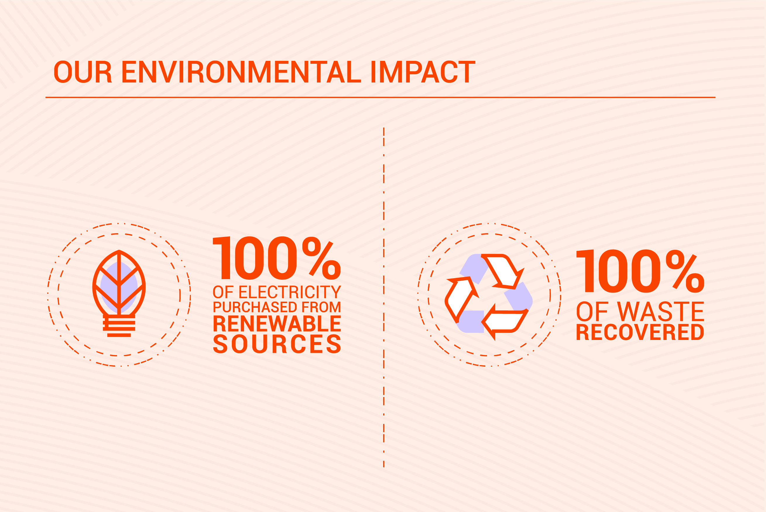 our environmental impact infographic