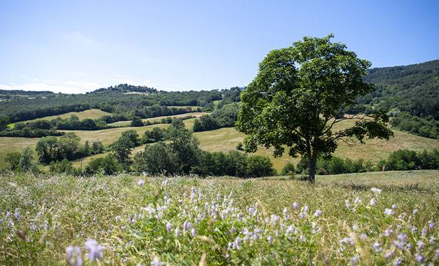 Acqua Panna Natura tenuta CSV