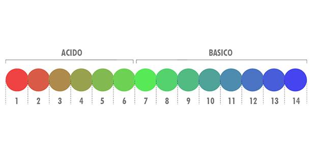 Scala di misurazione acidità/alcalinità da 1 a 14