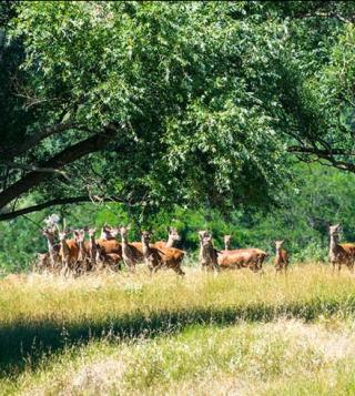 biodiversity protection