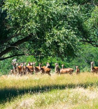 biodiversity protection