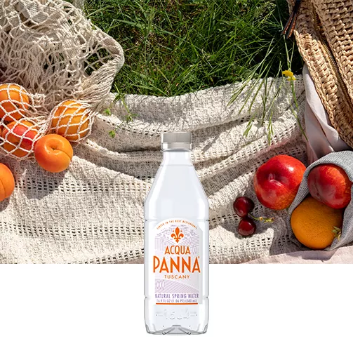 backpack with 16.9/500 ml acqua panna plastic water bottle